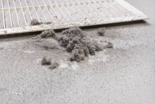 Best Residential Air Duct Cleaning  in Ardia, CA