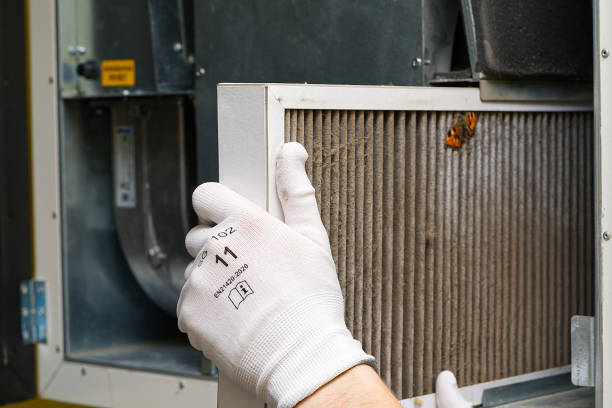 Best Air Quality Test  in Ardia, CA