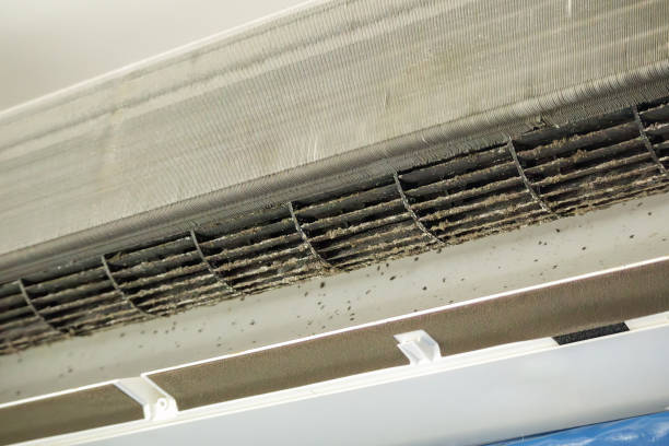 Best Commercial Air Duct Cleaning  in Ardia, CA